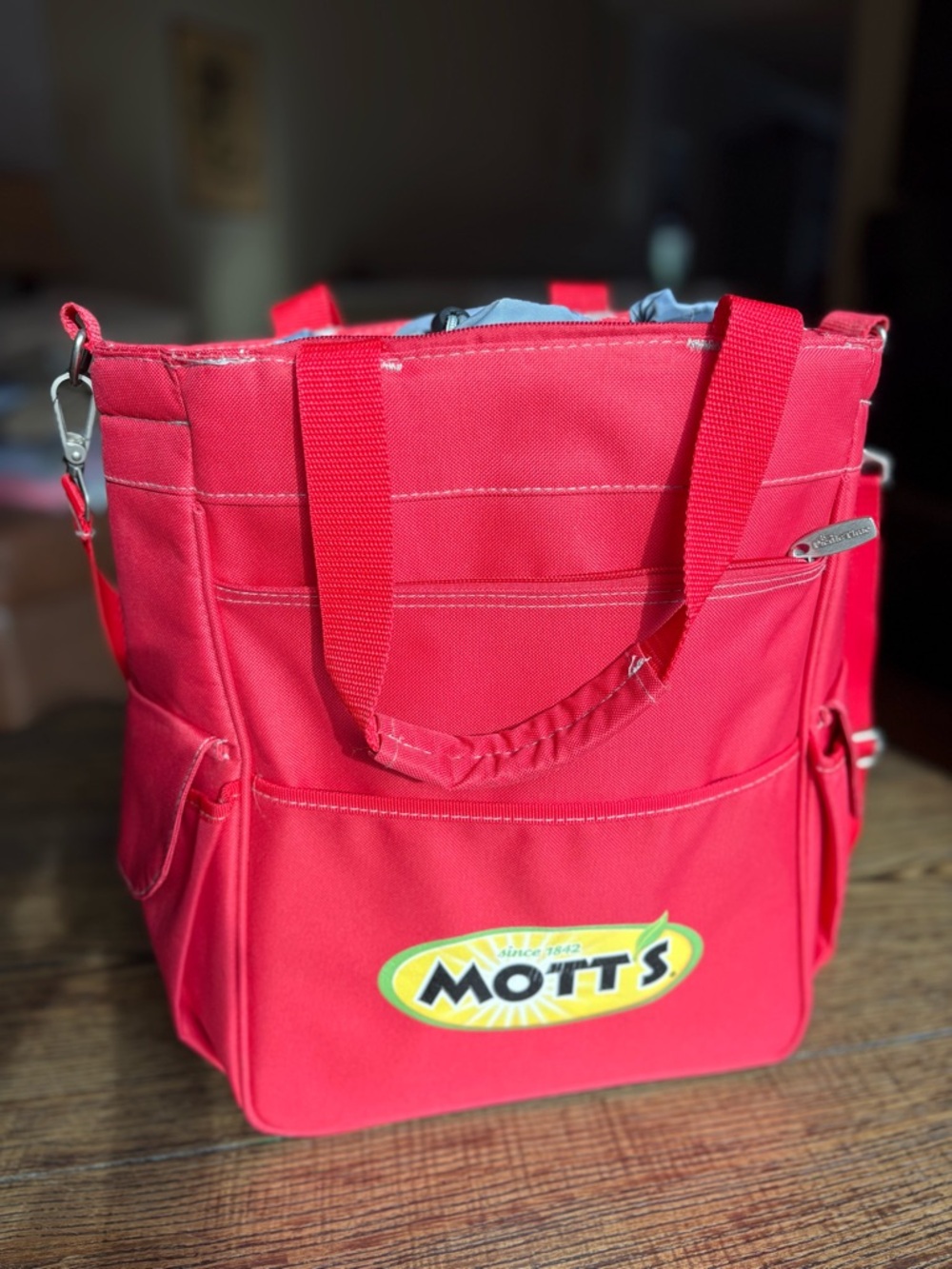 Picnic Time Mott’s Insulated Cooler Tote Bag | Like New | Beach Picnic Travel